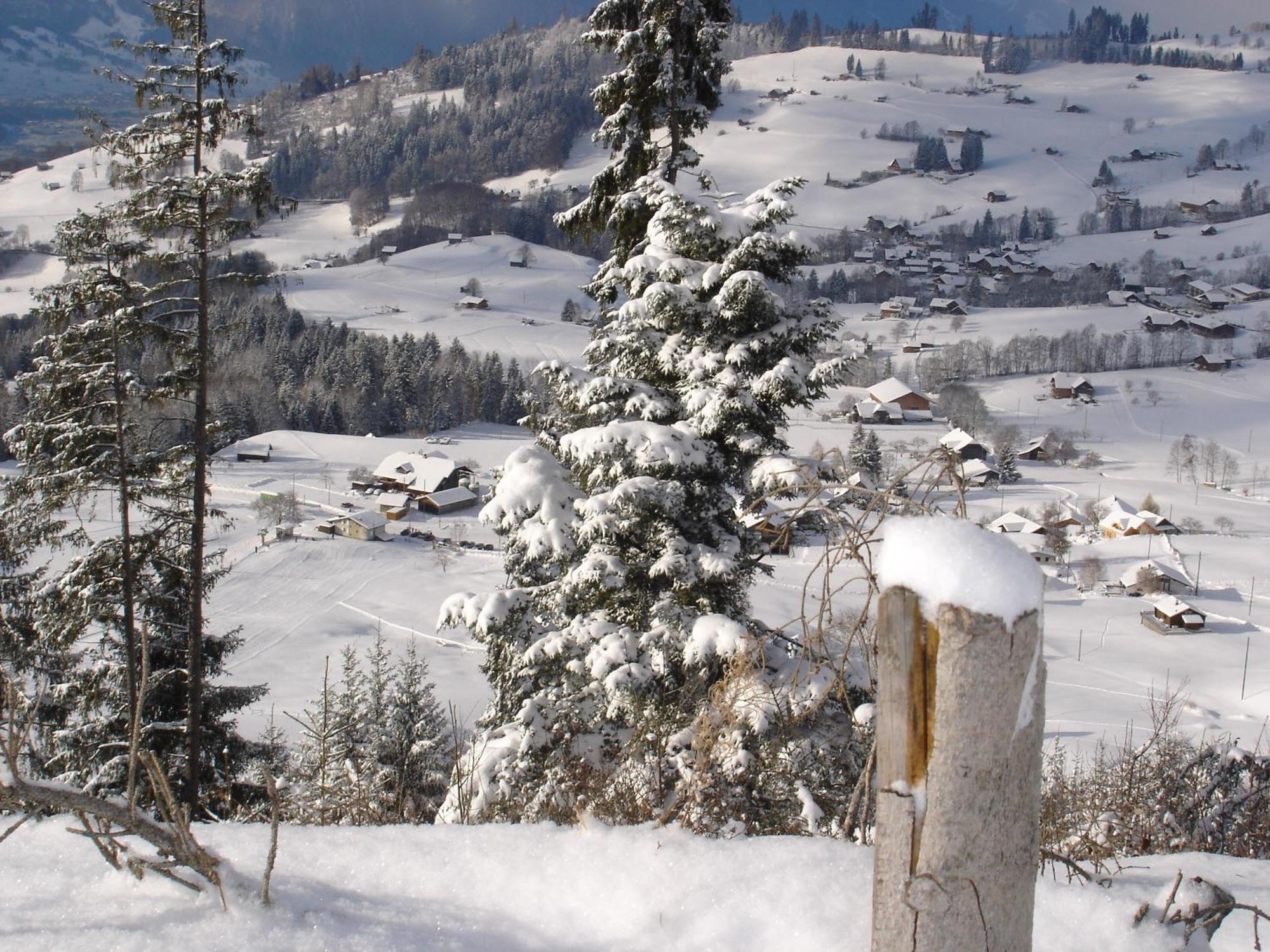 Chalet Sunneschyn Schwanden  Exterior photo